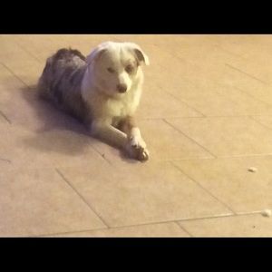 Meet your Posher, Kelley